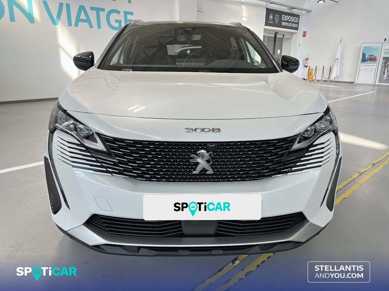 peugeot 3008 2022 / foto grande (2)