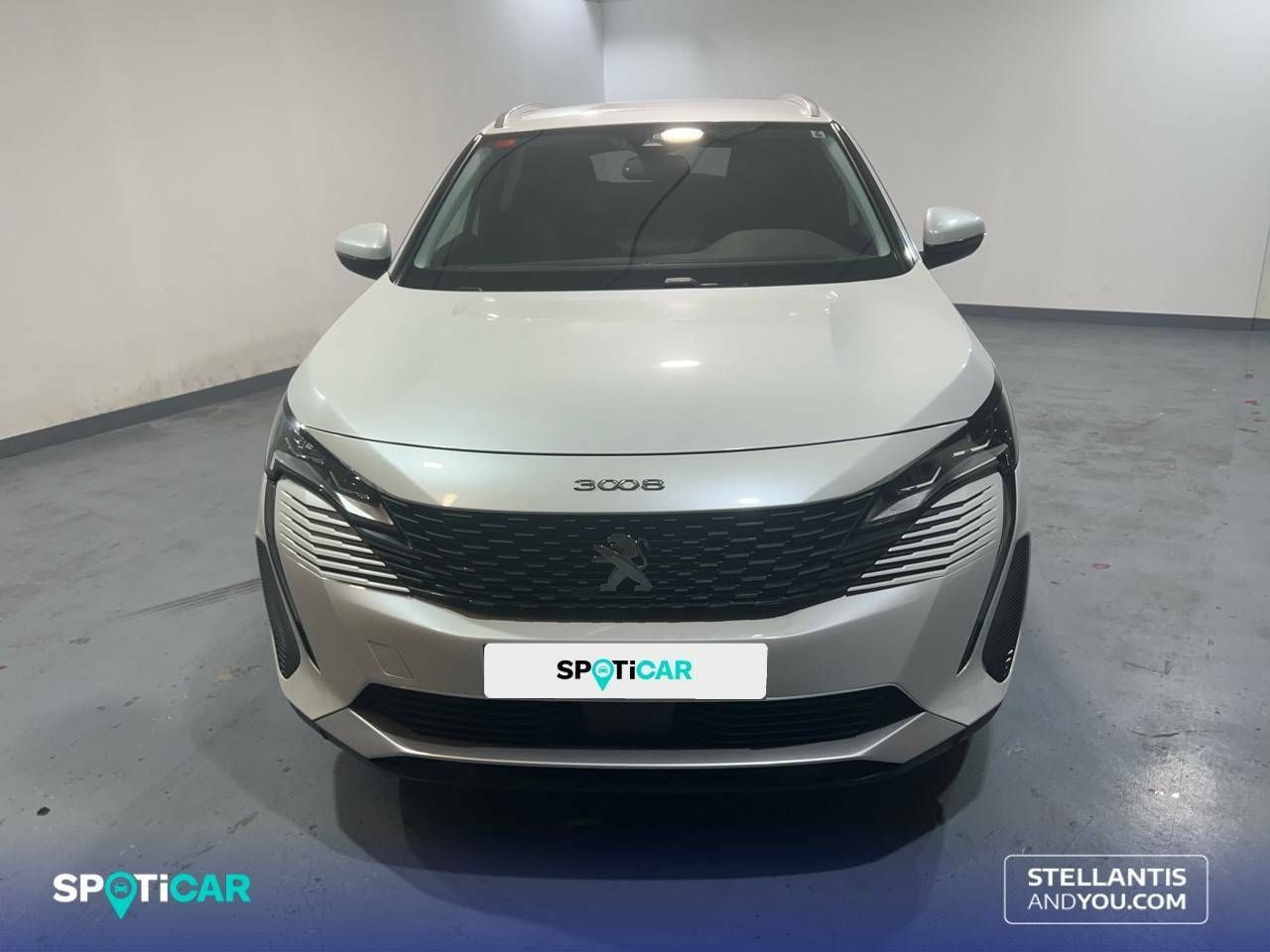 peugeot 3008 2021 / foto grande (2)