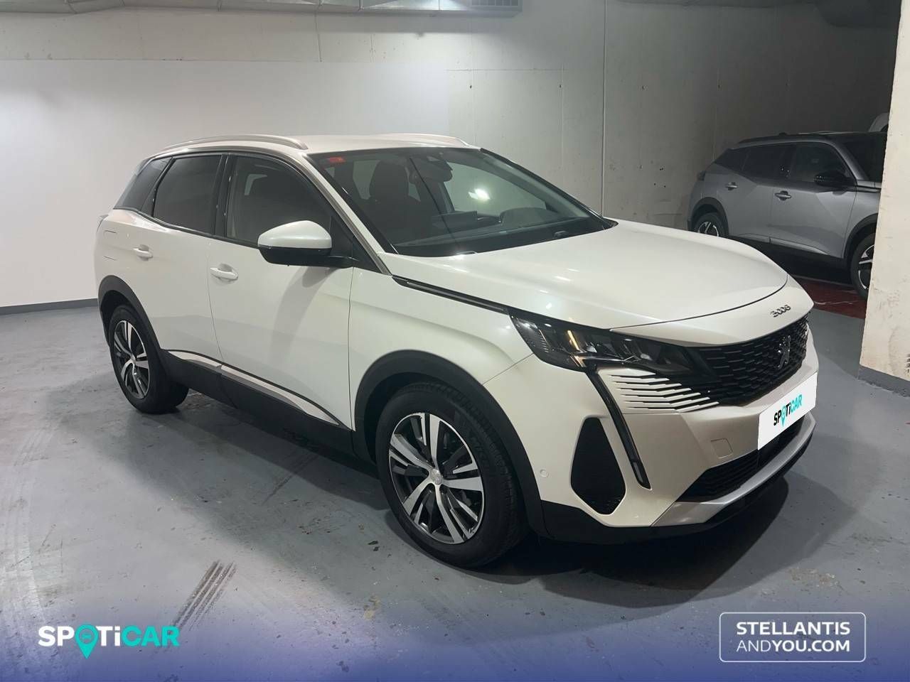 peugeot 3008 2021 / foto grande (3)
