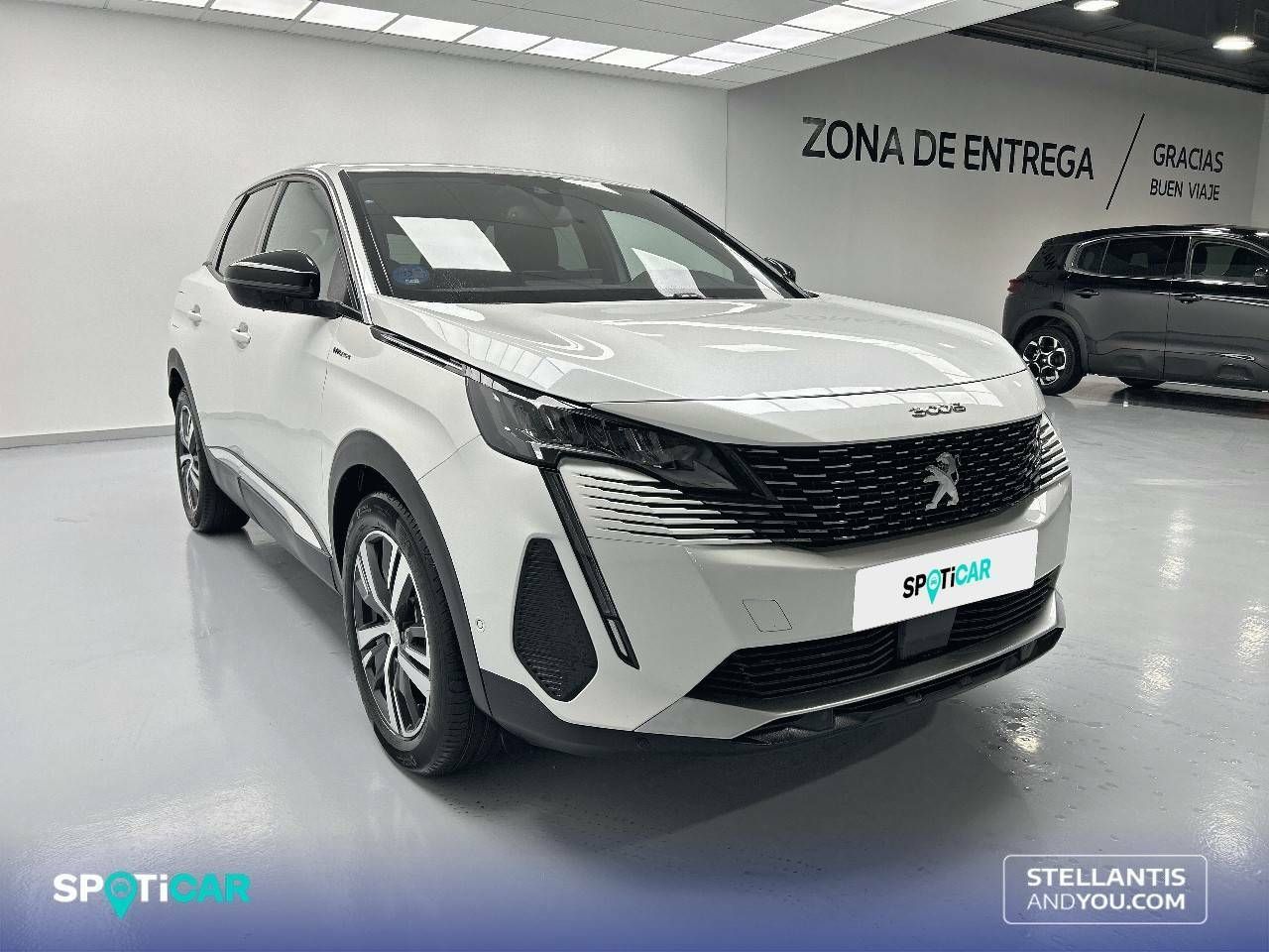 peugeot 3008 2023 / foto grande (3)