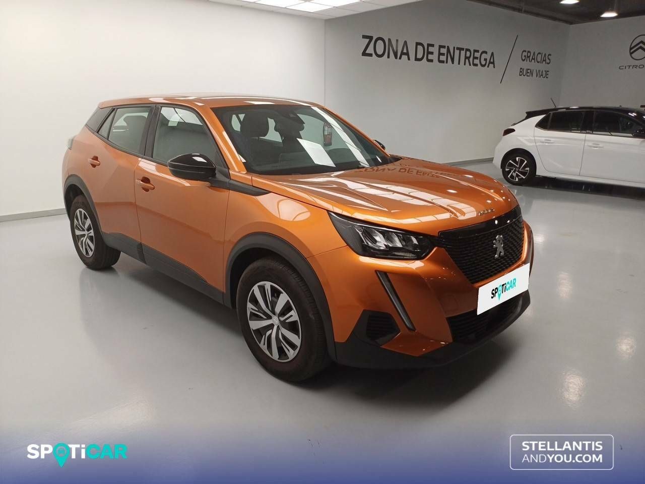 peugeot 2008 2023 / foto grande (3)