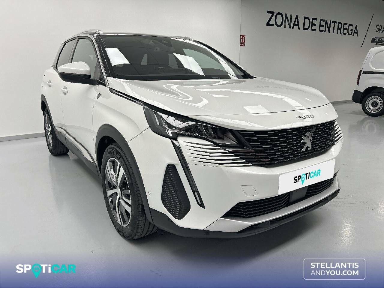 peugeot 3008 2021 / foto grande (3)