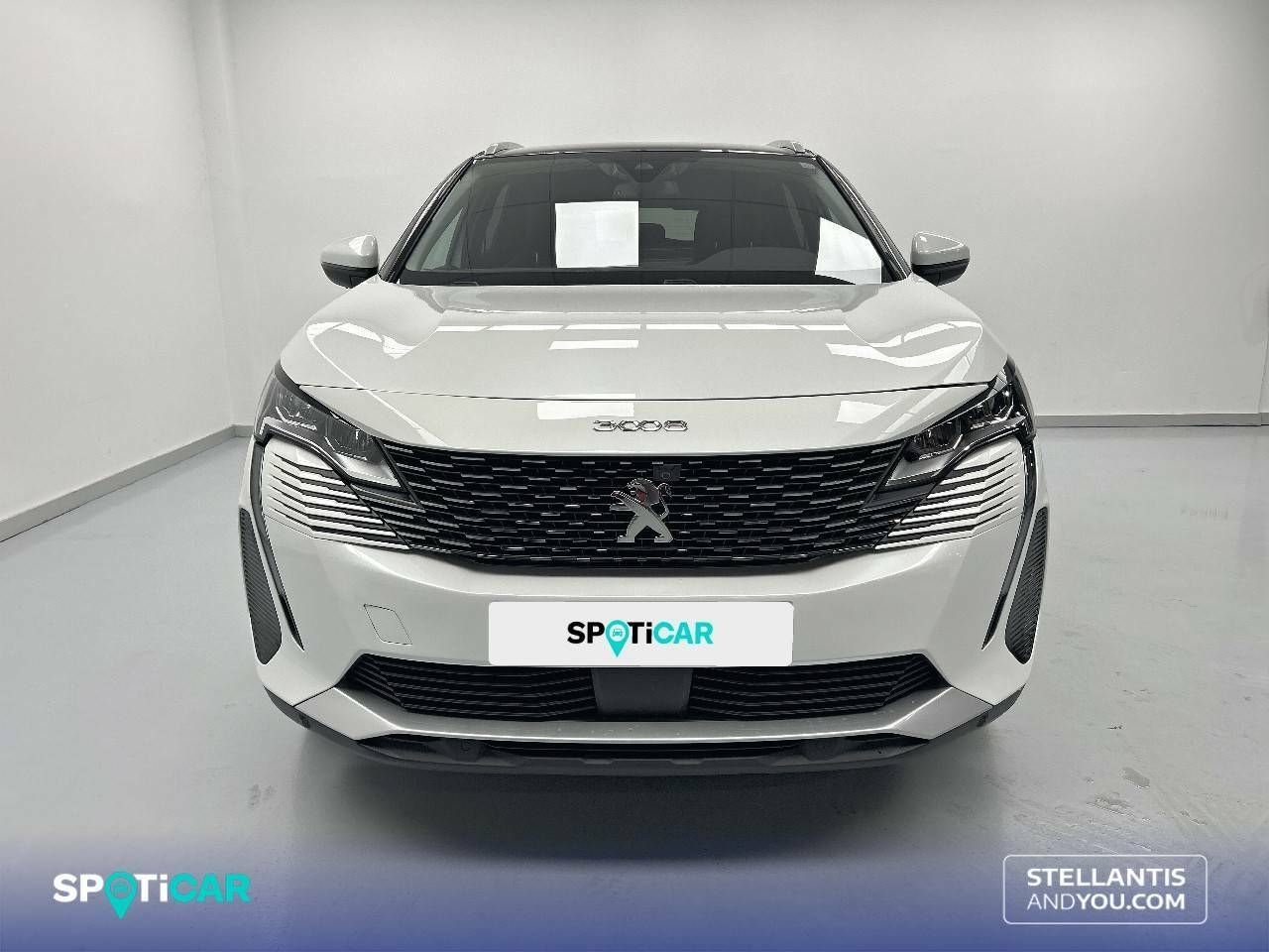peugeot 3008 2021 / foto grande (2)