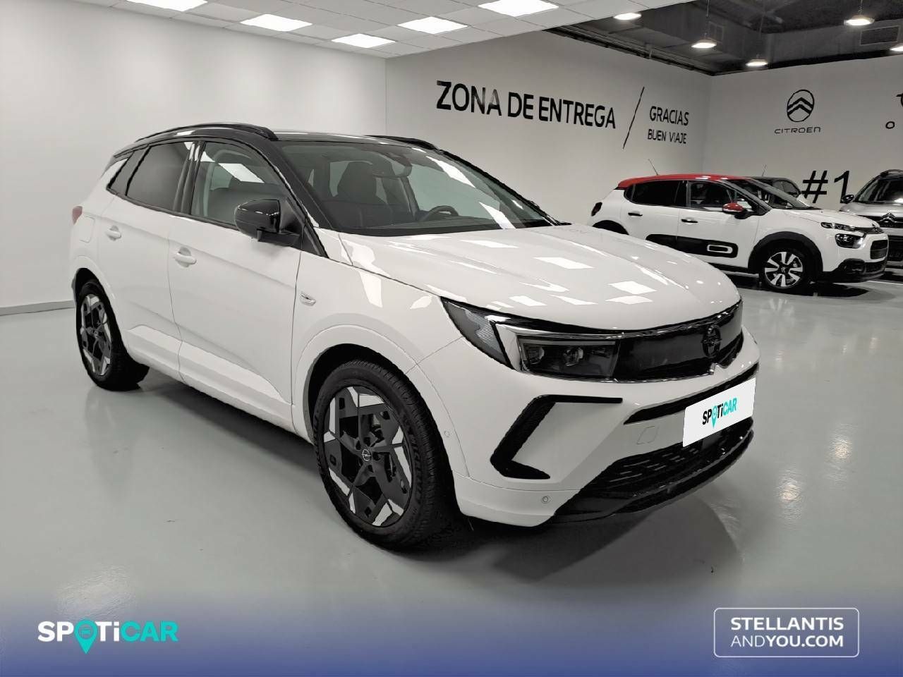 opel grandland 2023 / foto grande (3)