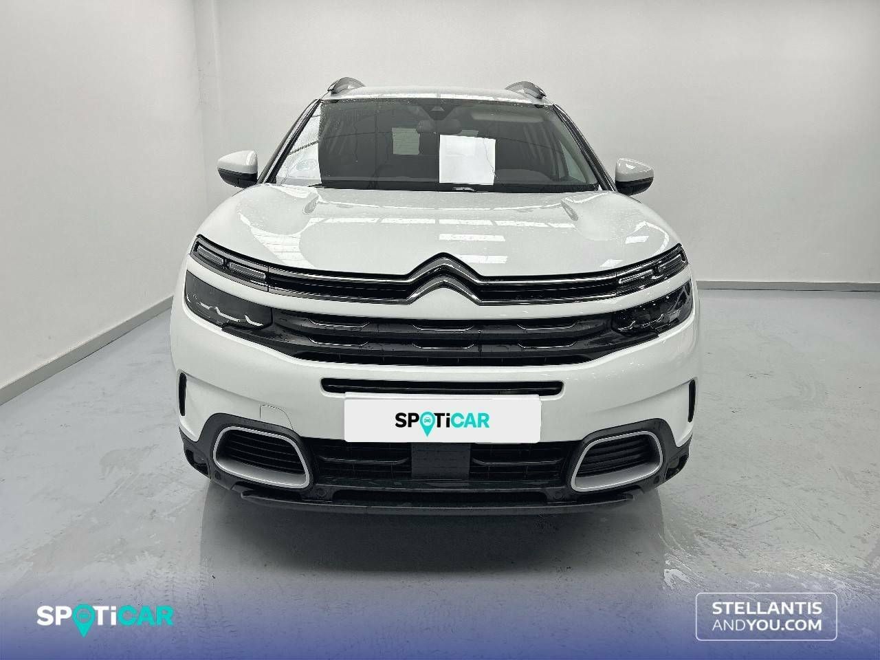 citroën c5 aircross 2022 / foto grande (2)