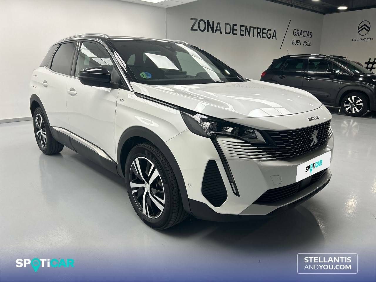 peugeot 3008 2024 / foto grande (3)