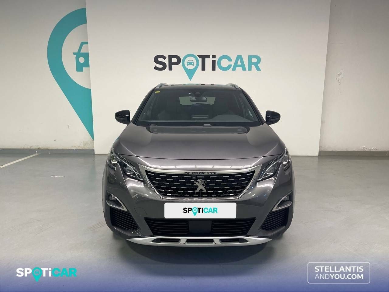 peugeot 3008 2017 / foto grande (2)