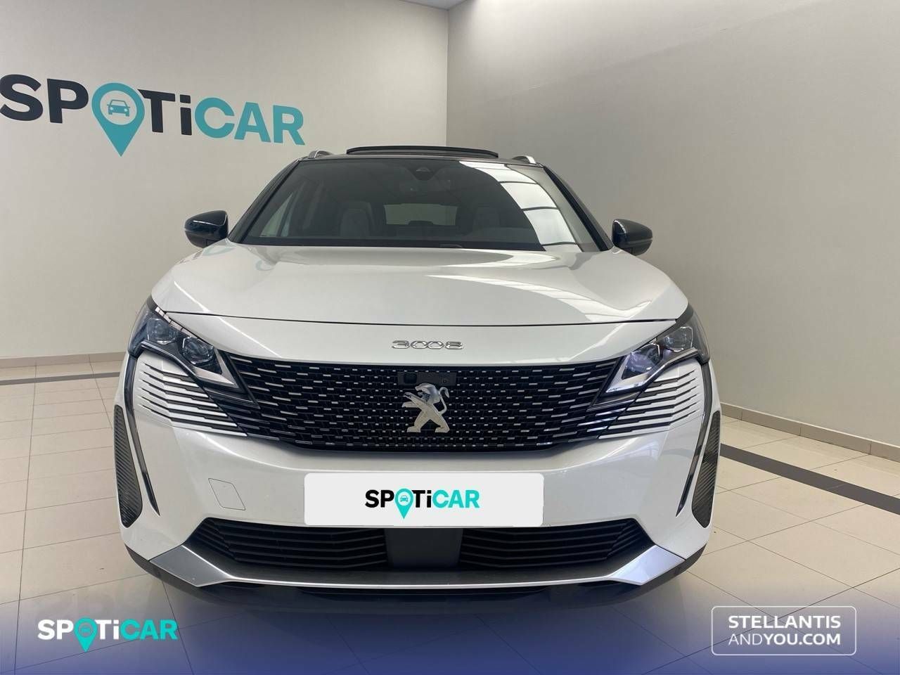 peugeot 3008 2021 / foto grande (2)