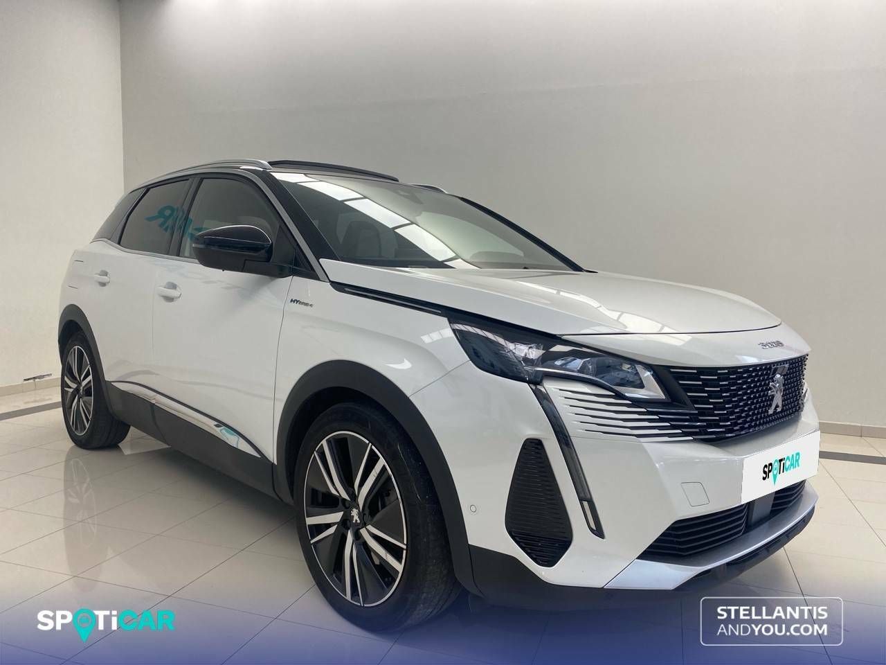 peugeot 3008 2021 / foto grande (3)