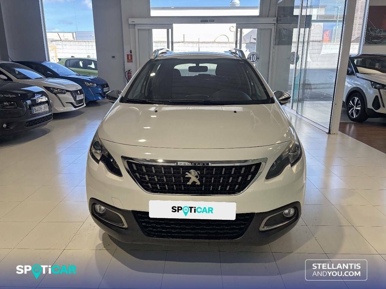 peugeot 2008 2019 / foto grande (2)