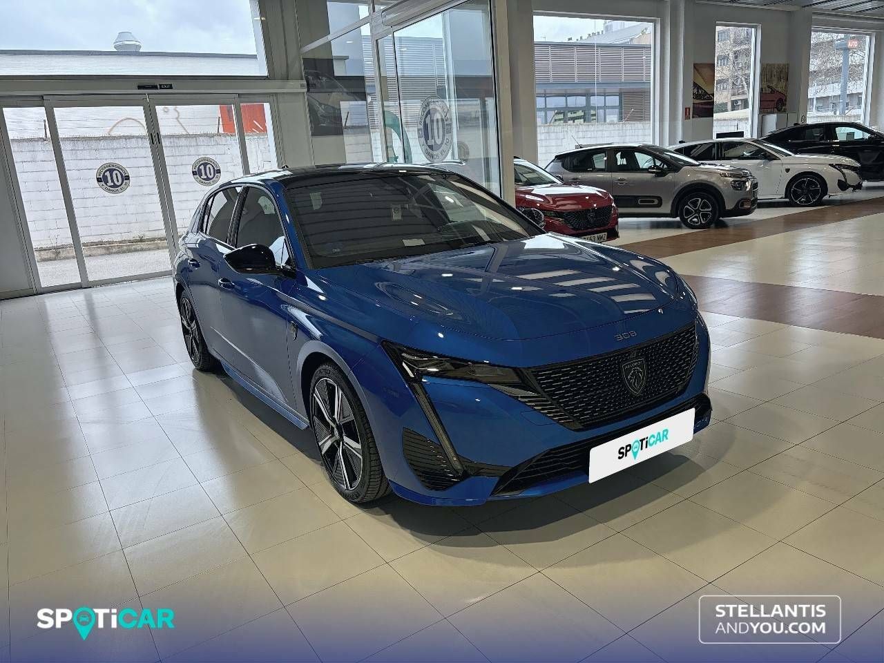 peugeot 308 2024 / foto grande (3)
