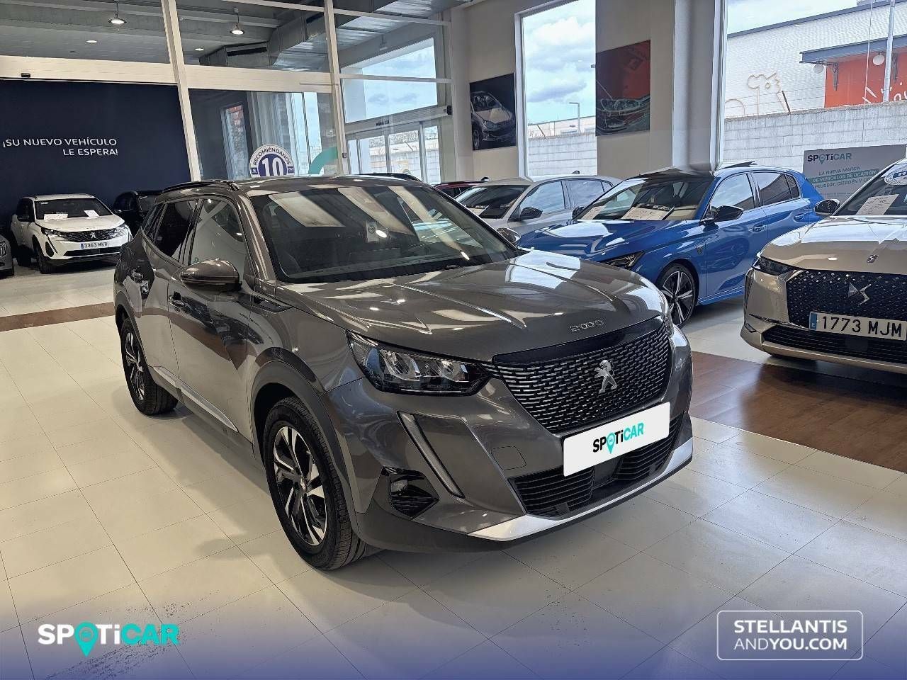 peugeot 2008 2021 / foto grande (3)
