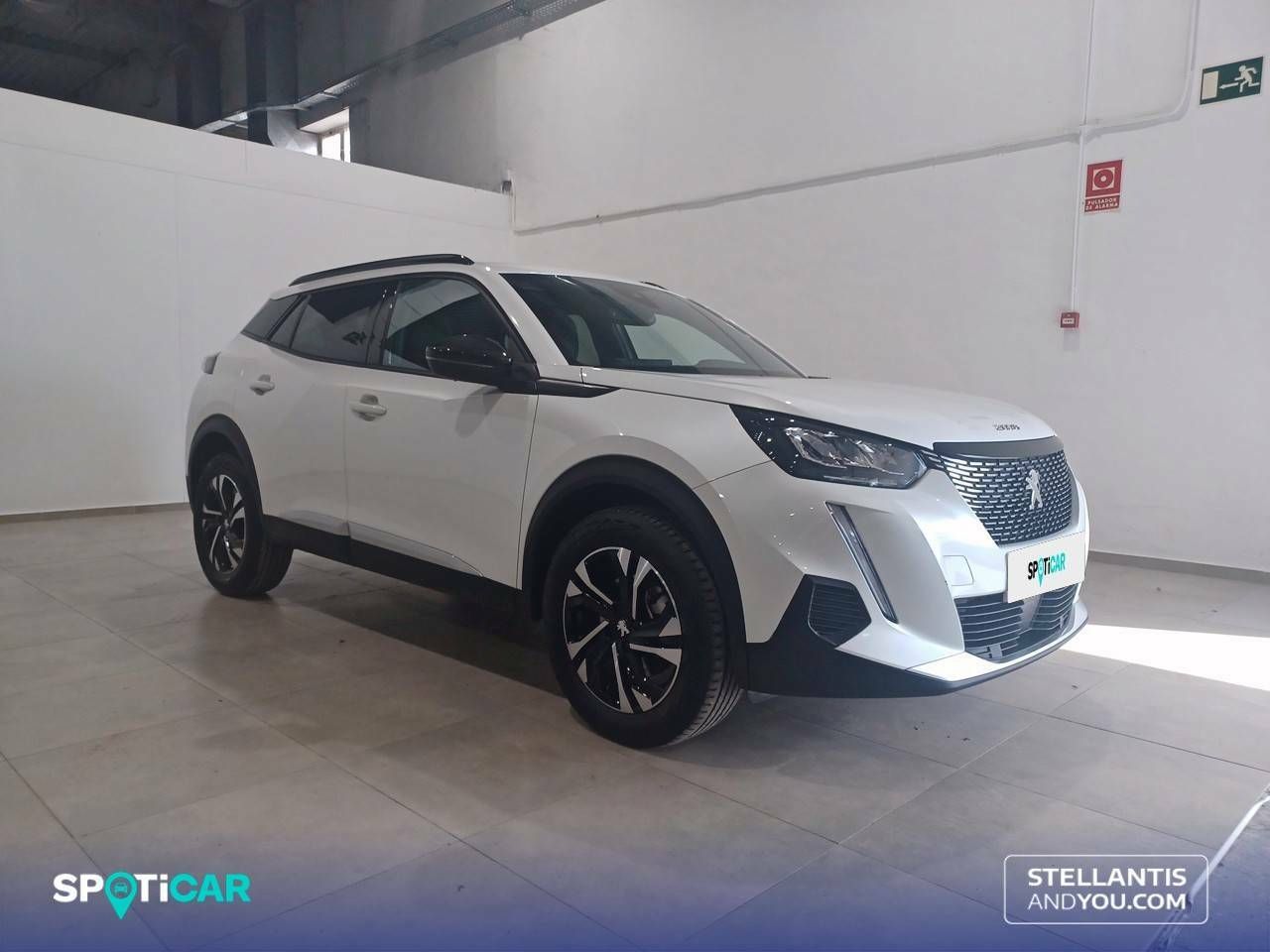 peugeot 2008 2023 / foto grande (3)