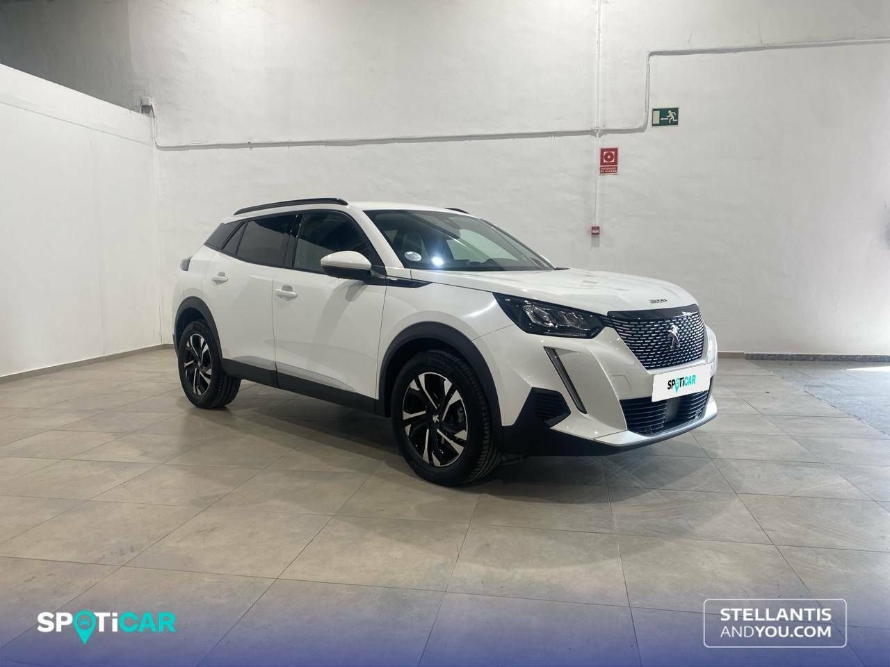 peugeot 2008 2021 / foto grande (3)