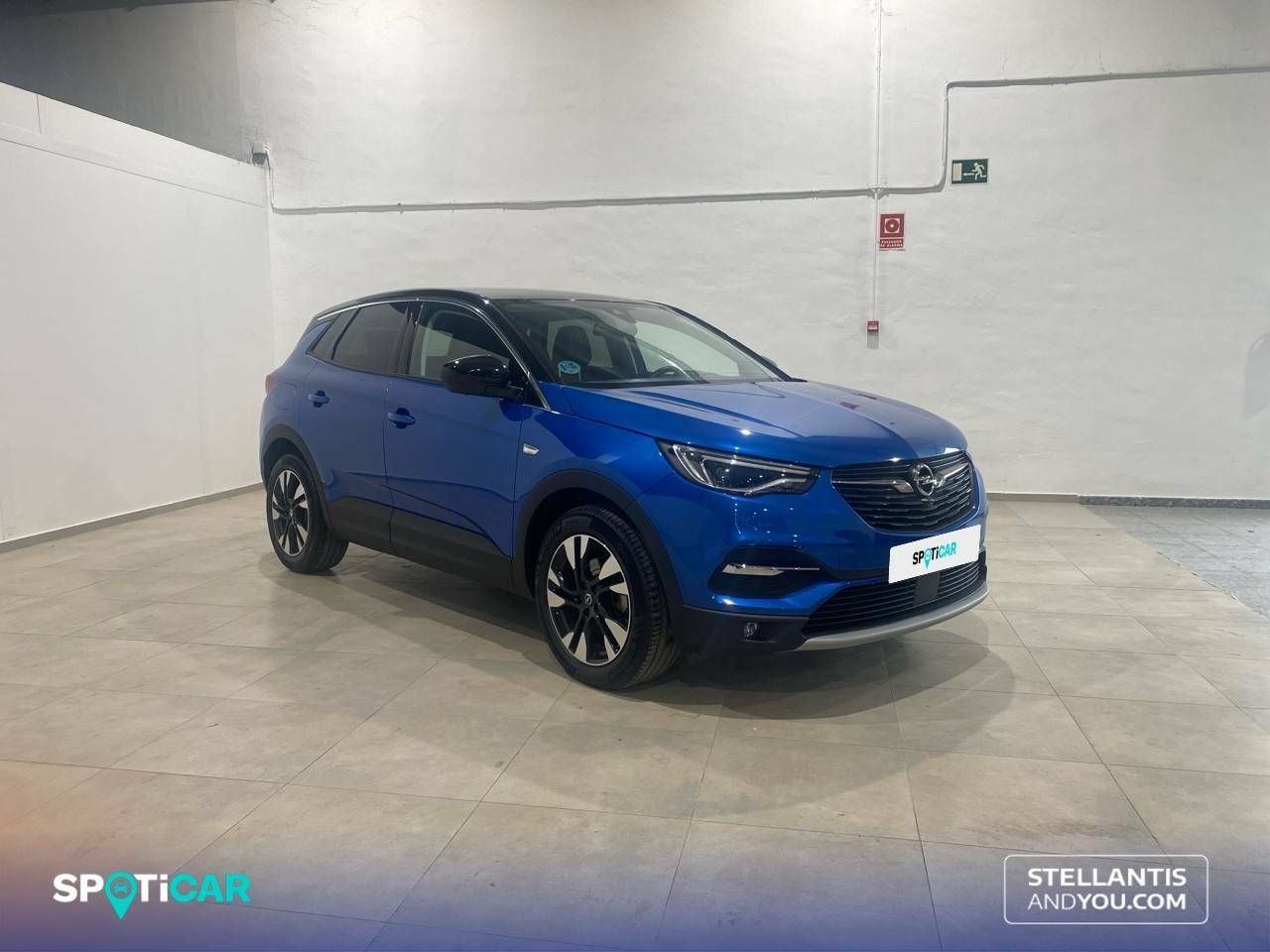 opel grandland x 2021 / foto grande (3)