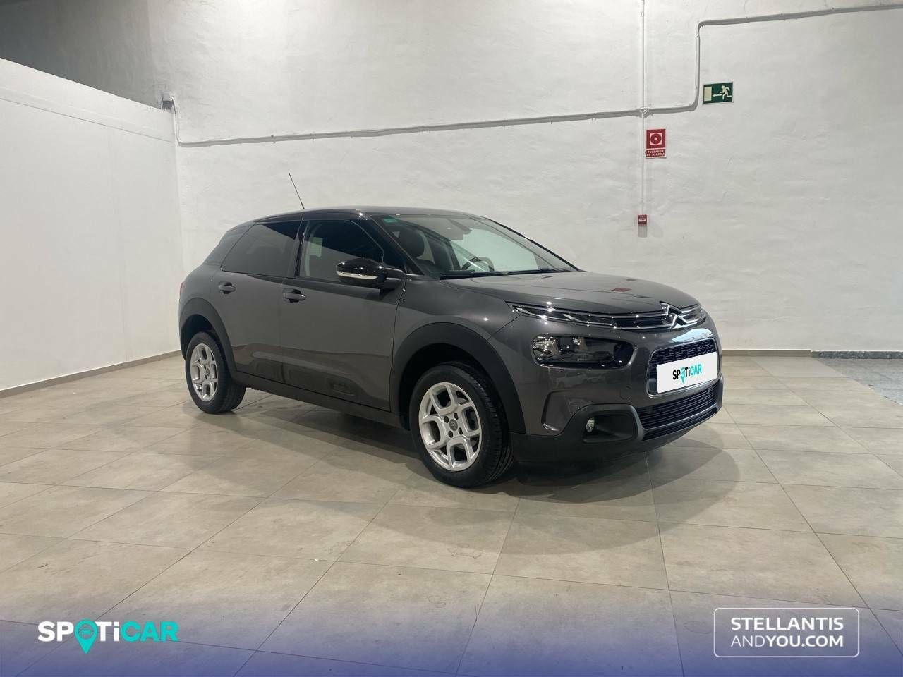 citroën c4 cactus 2019 / foto grande (3)
