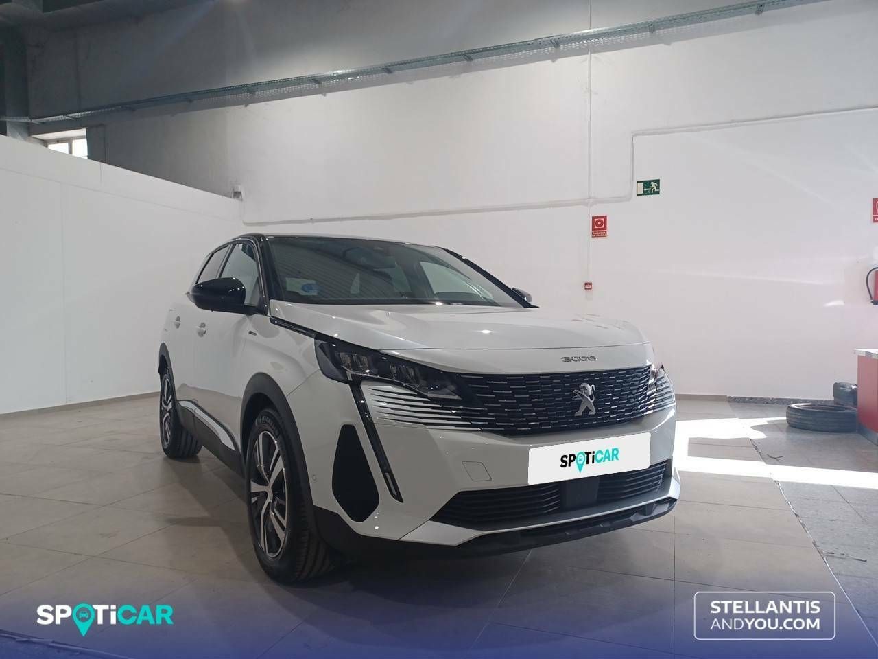 peugeot 3008 2023 / foto grande (3)