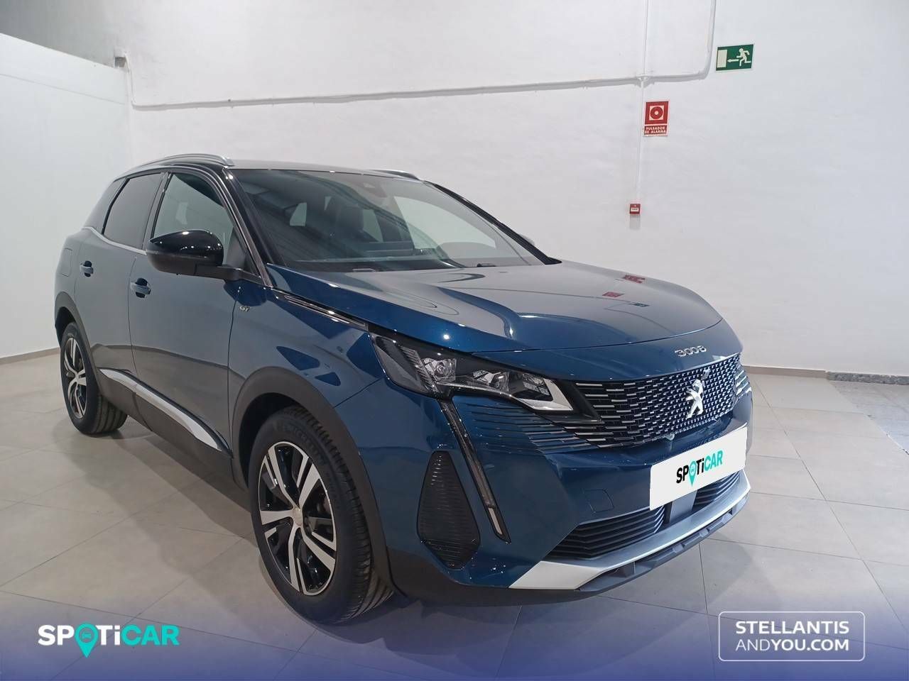 peugeot 3008 2023 / foto grande (3)