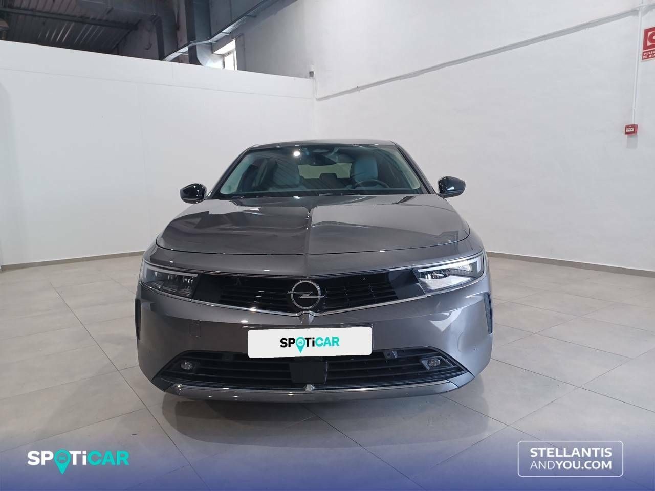 opel astra 2023 / foto grande (2)