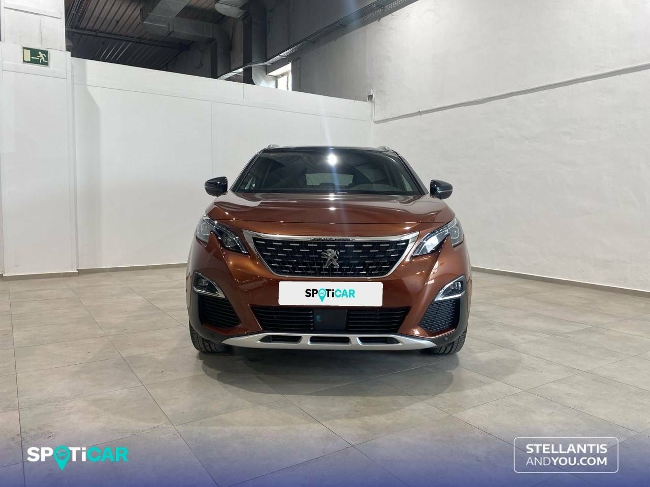 peugeot 3008 2018 / foto grande (2)
