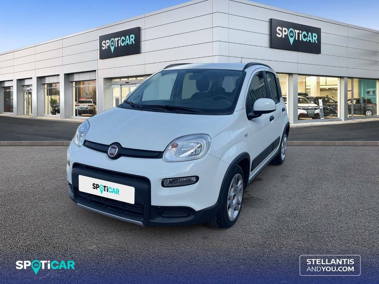 fiat panda 2023 /