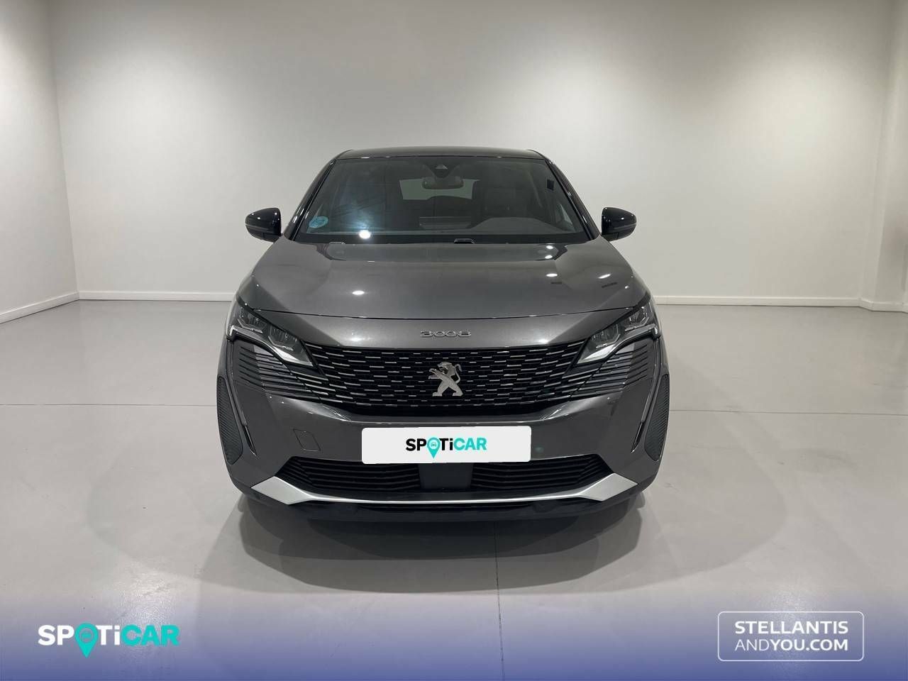 peugeot 3008 2023 / foto grande (2)