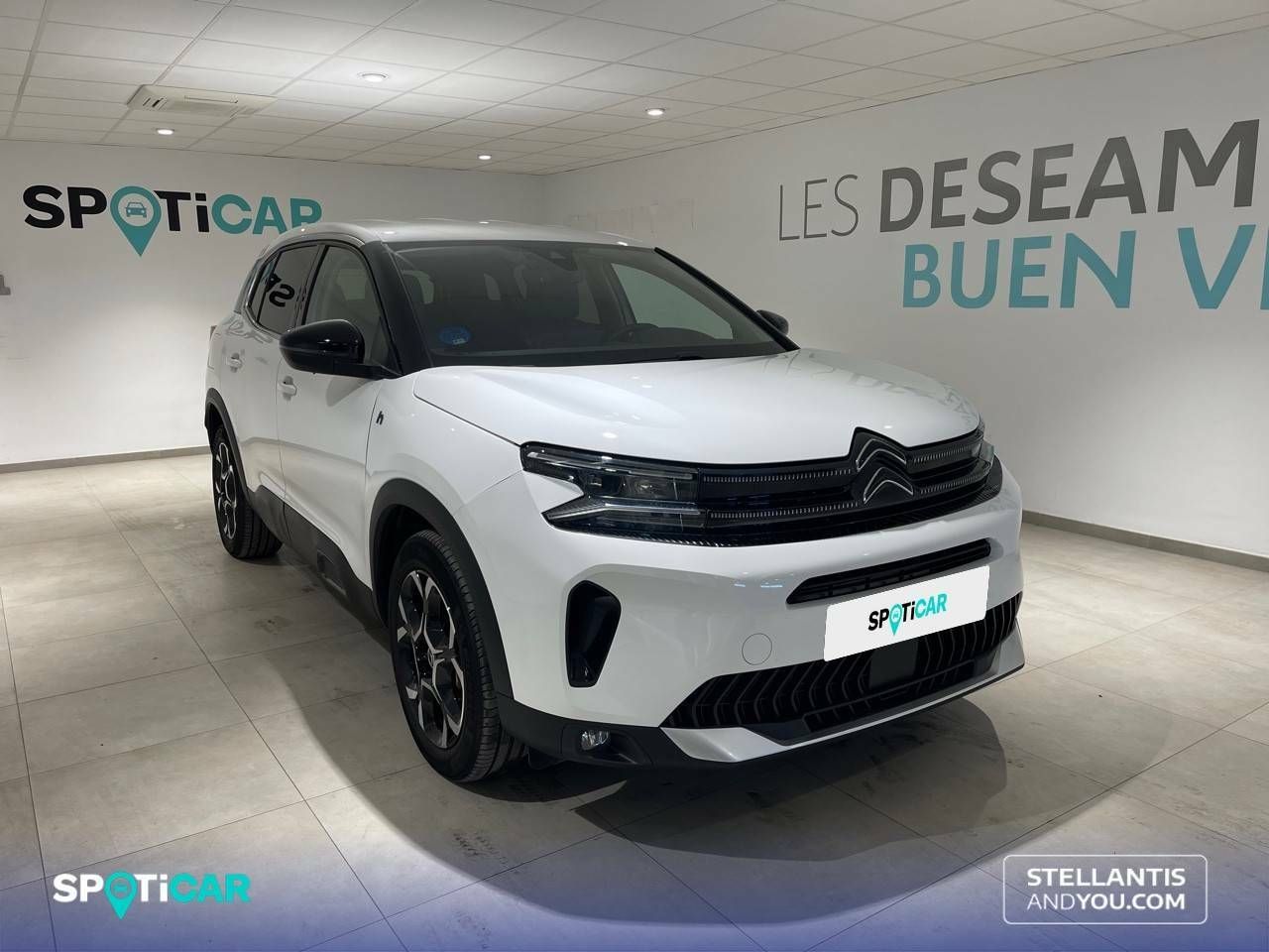 citroën c5 aircross 2022 / foto grande (3)