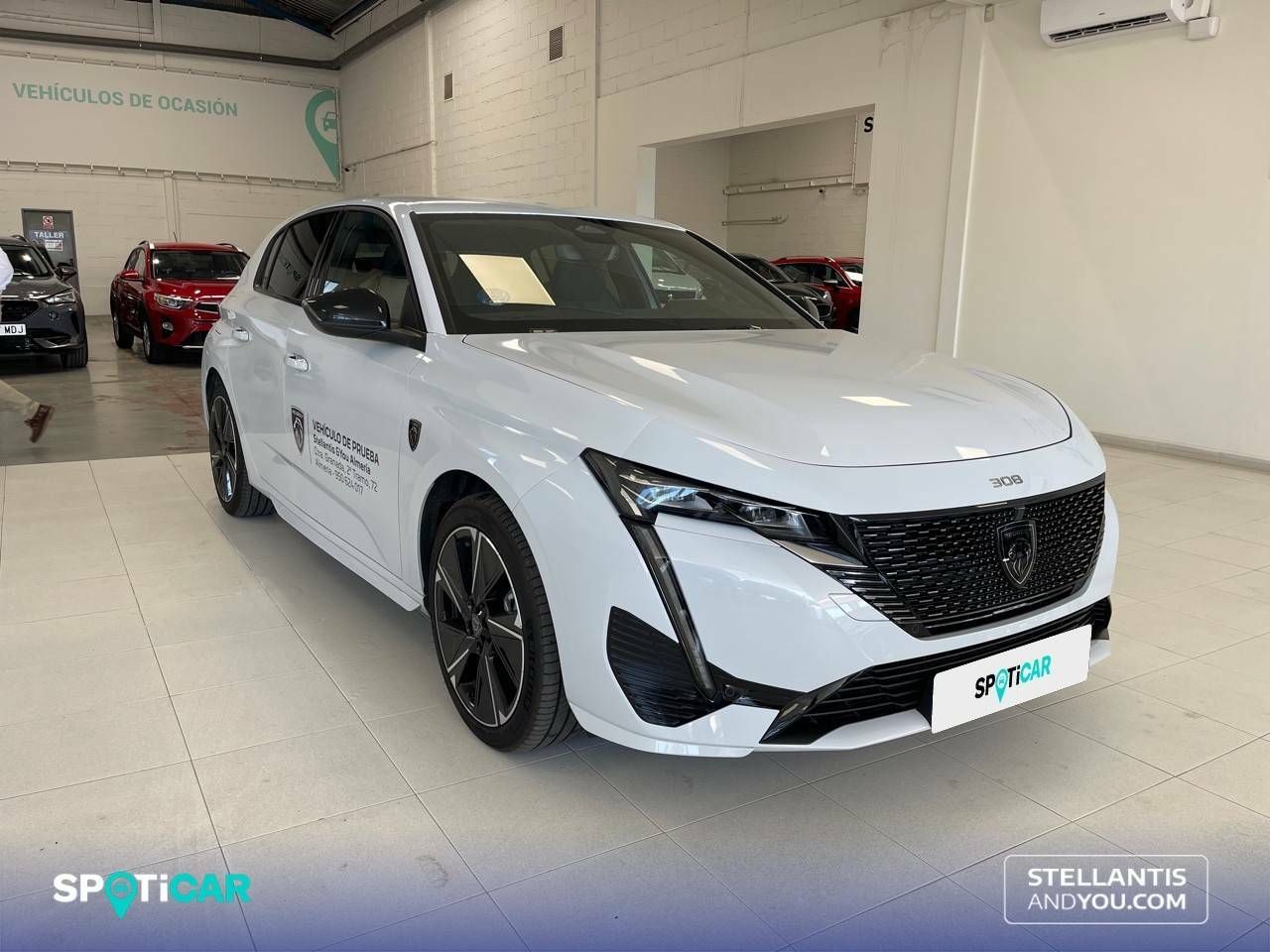 peugeot 308 2023 / foto grande (3)