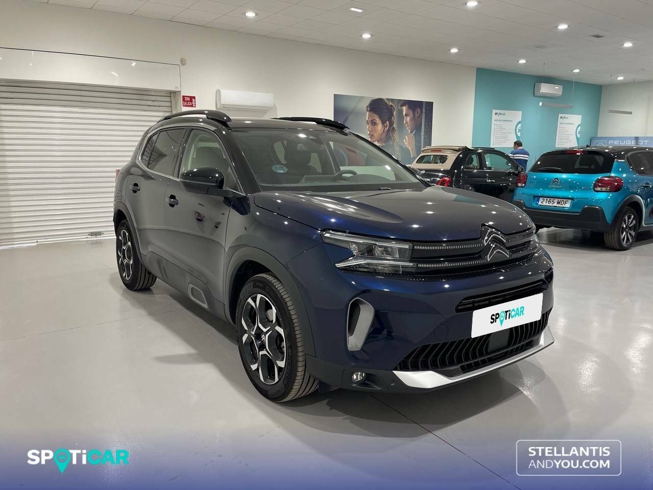 citroën c5 aircross 2024 / foto grande (3)