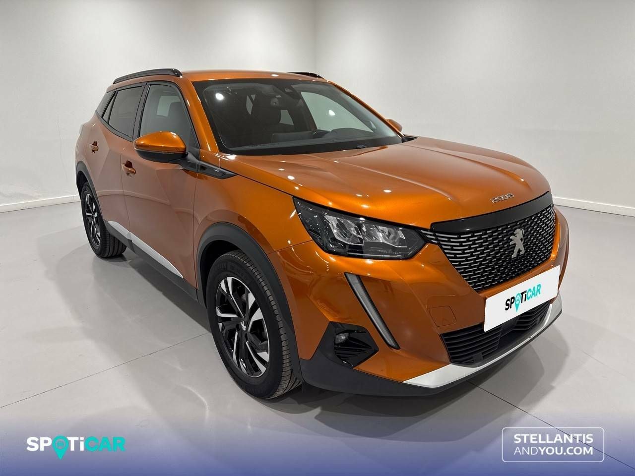 peugeot 2008 2021 / foto grande (3)