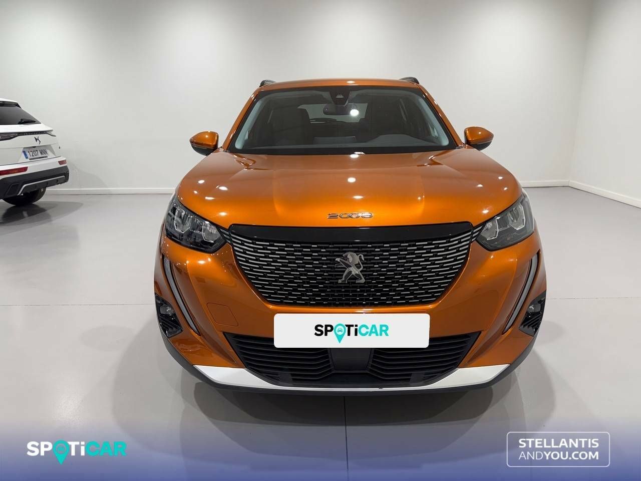 peugeot 2008 2021 / foto grande (2)