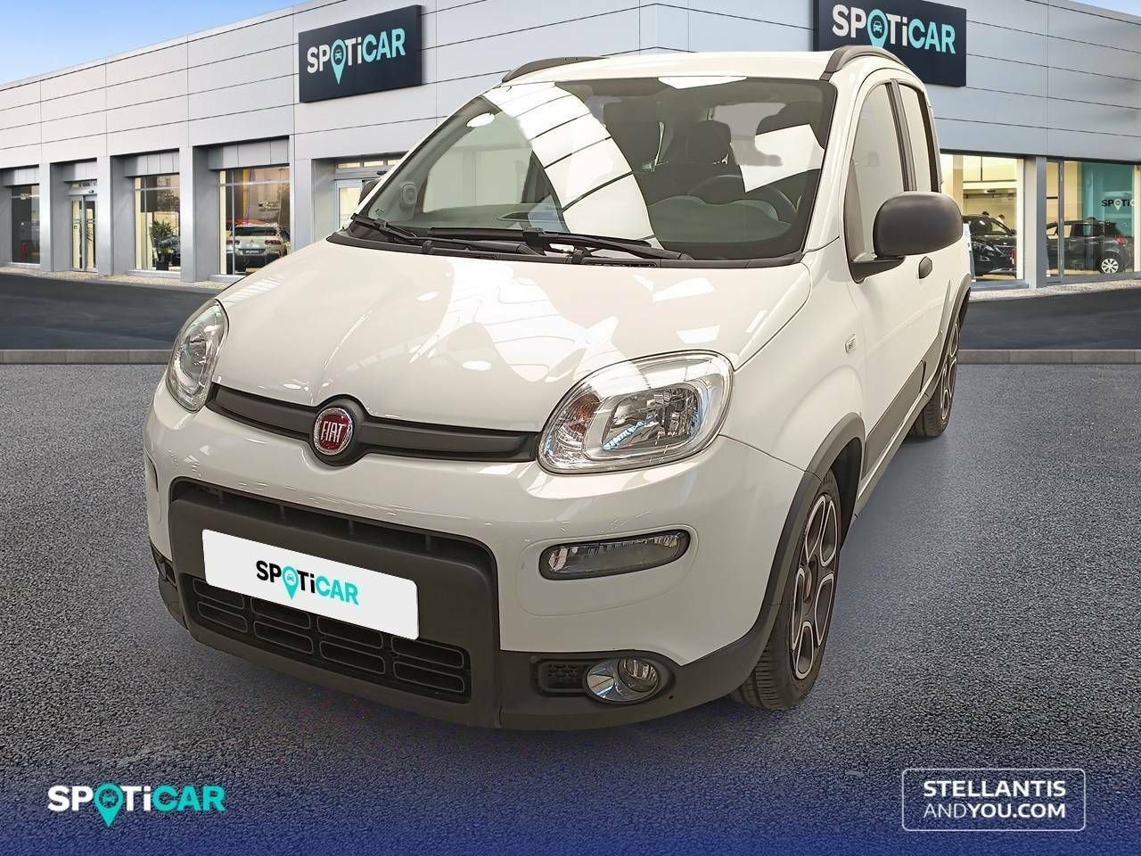 fiat panda 2021 /