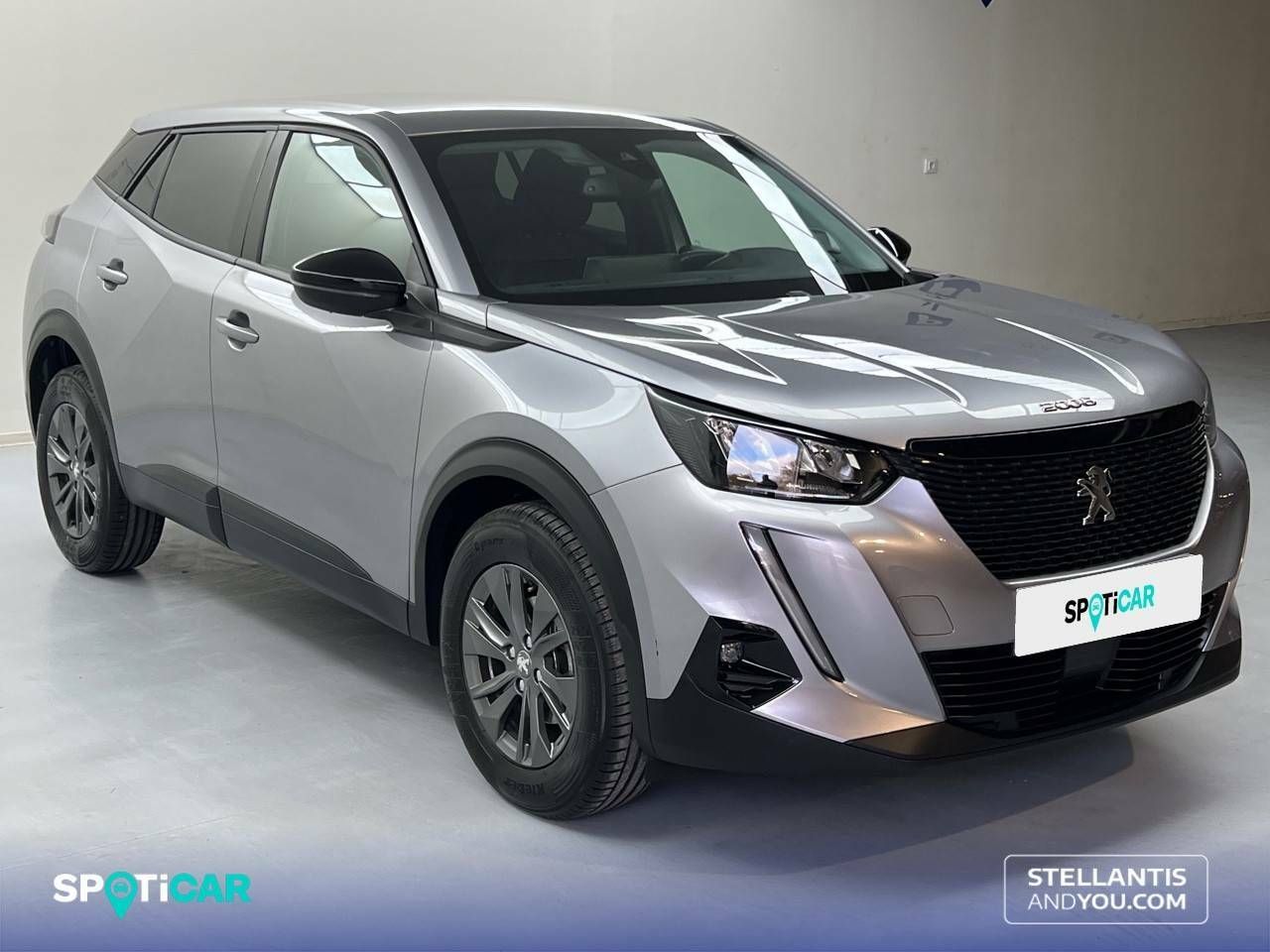 peugeot 2008 2021 / foto grande (3)