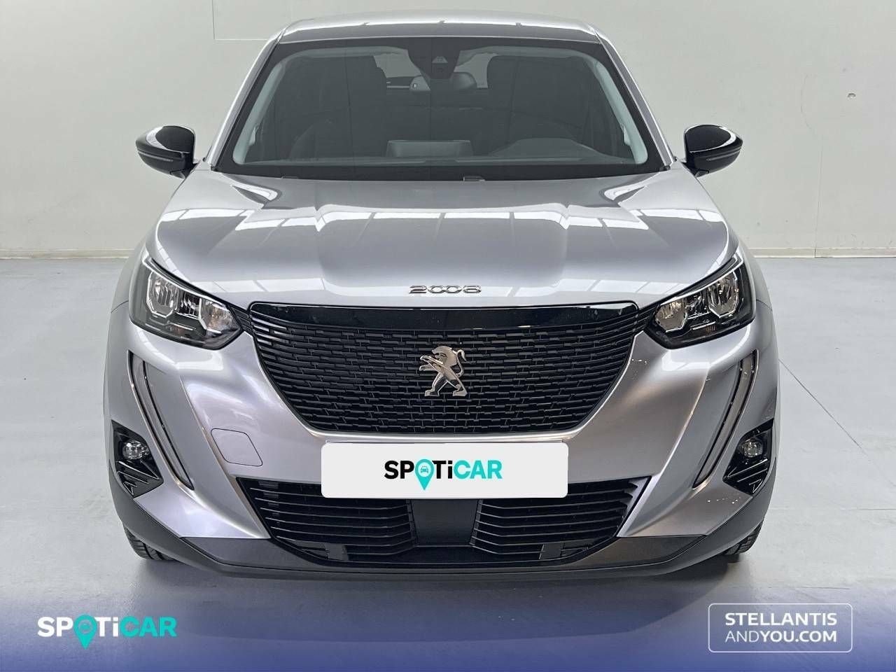 peugeot 2008 2021 / foto grande (2)