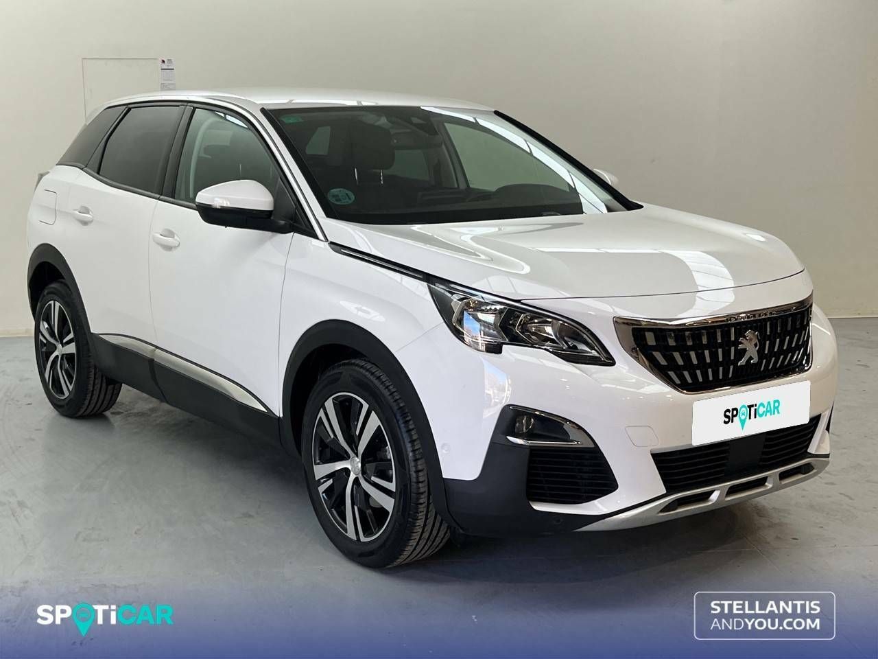peugeot 3008 2019 / foto grande (3)