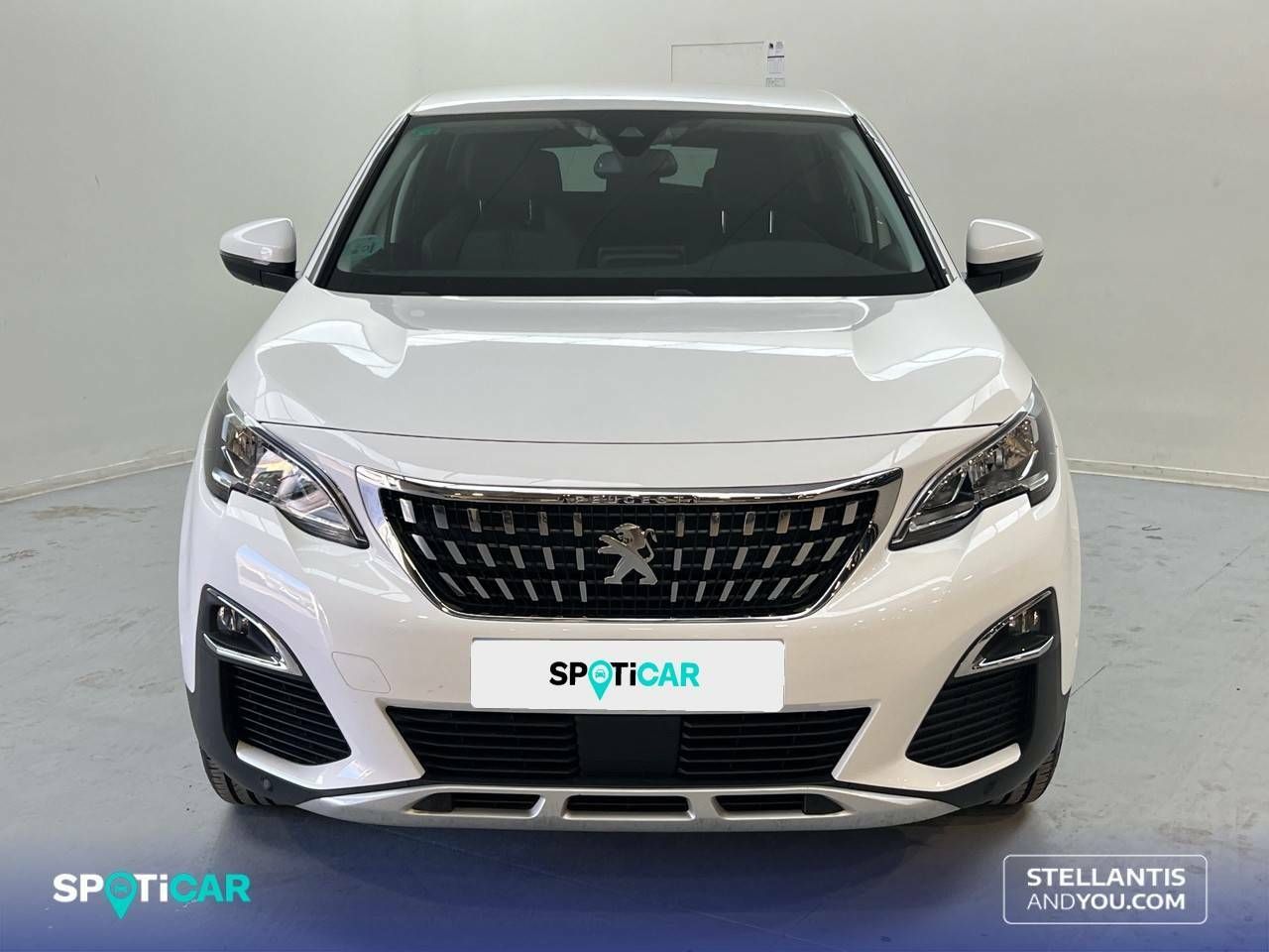 peugeot 3008 2019 / foto grande (2)