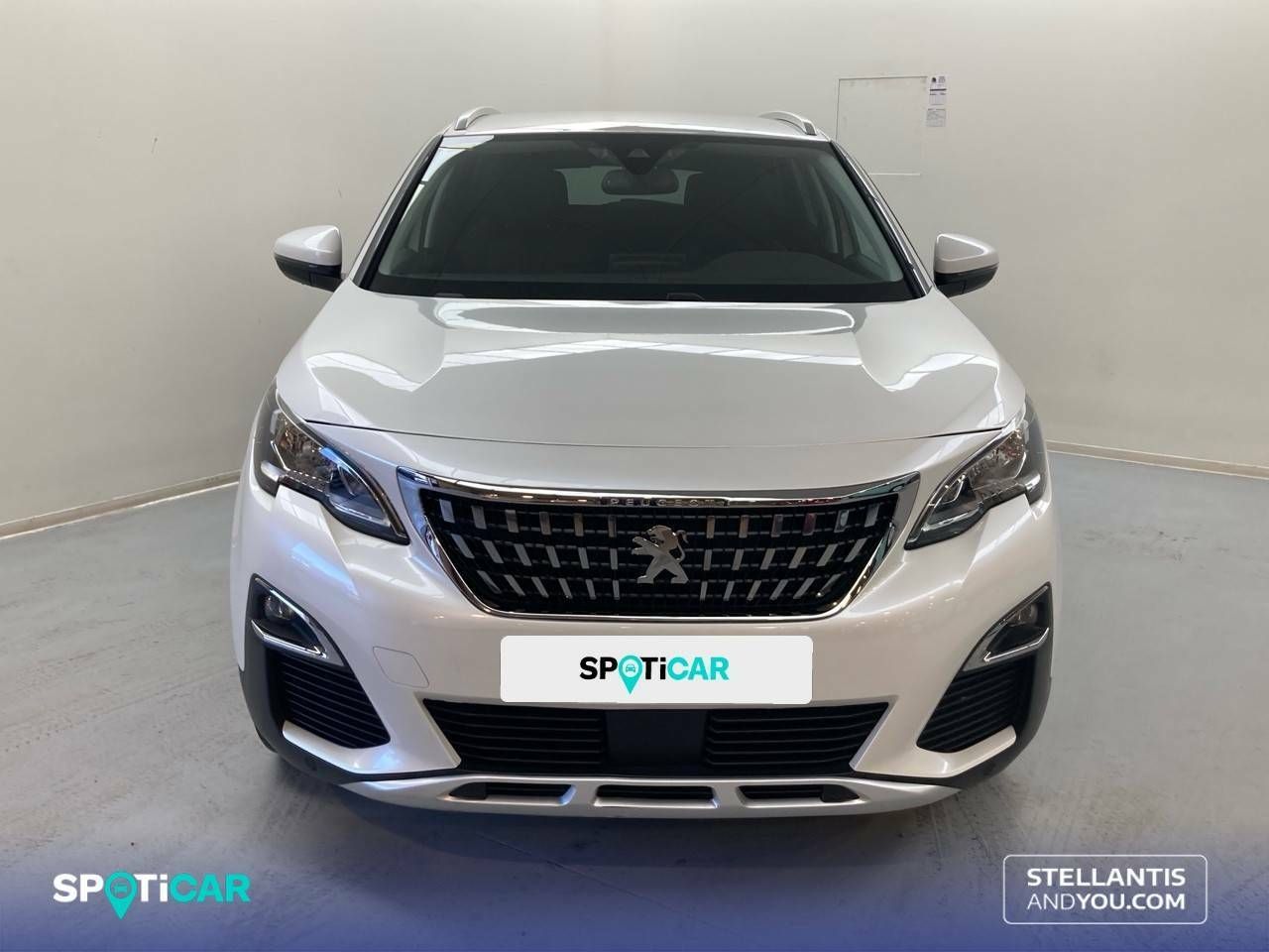 peugeot 3008 2019 / foto grande (2)