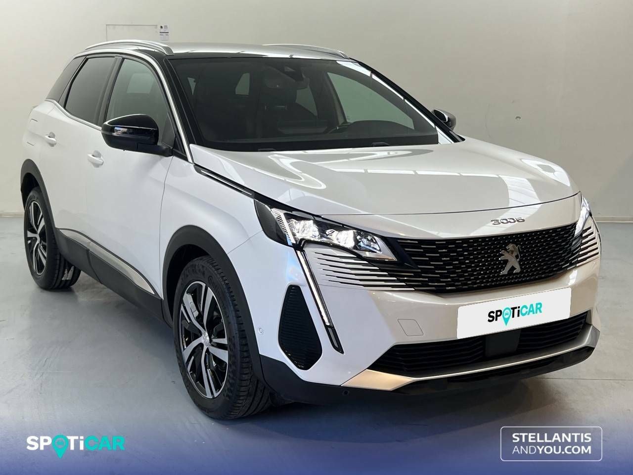peugeot 3008 2021 / foto grande (3)