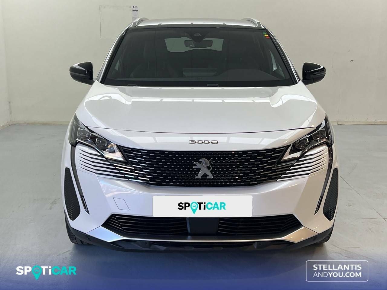 peugeot 3008 2021 / foto grande (2)