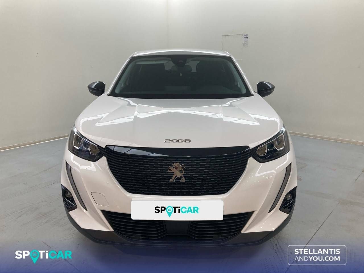 peugeot 2008 2021 / foto grande (2)