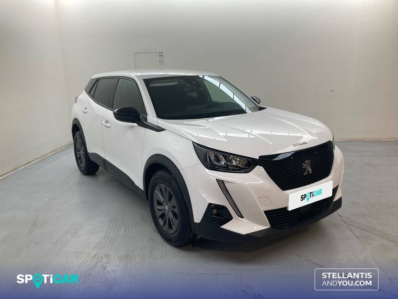 peugeot 2008 2021 / foto grande (3)