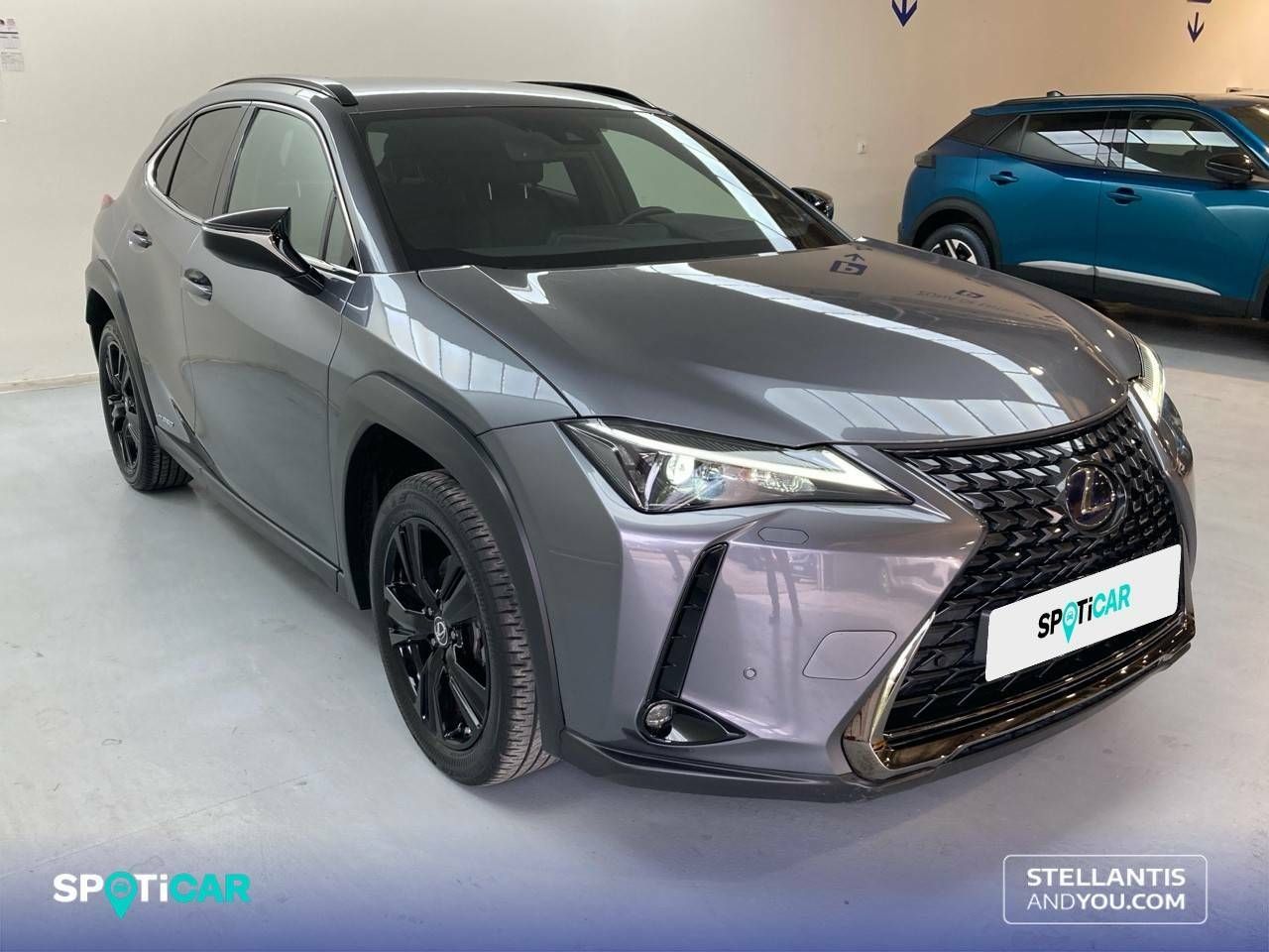 lexus ux 2021 / foto grande (3)