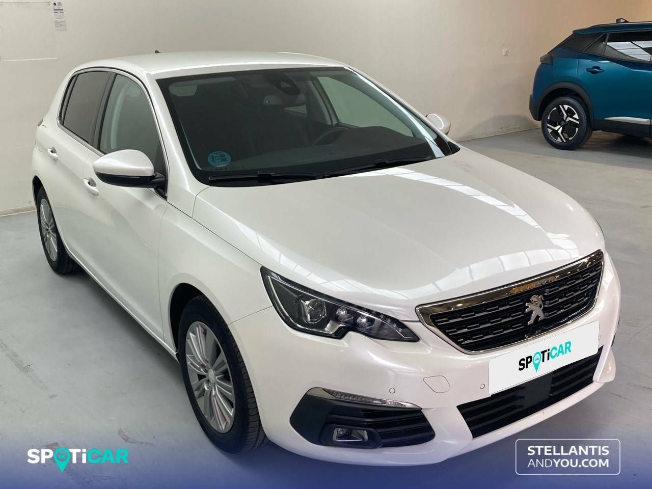 peugeot 308 2021 / foto grande (3)