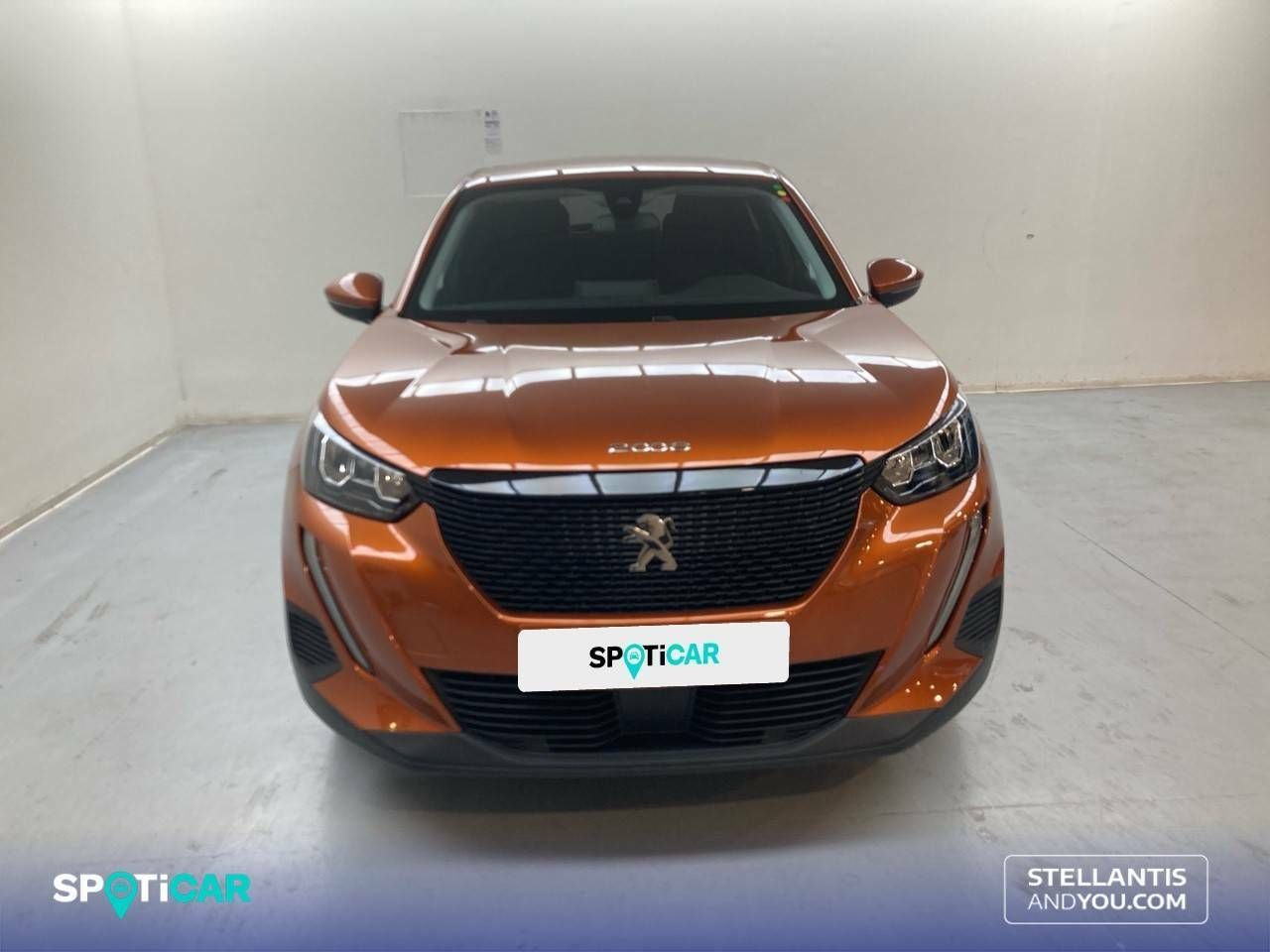 peugeot 2008 2021 / foto grande (2)