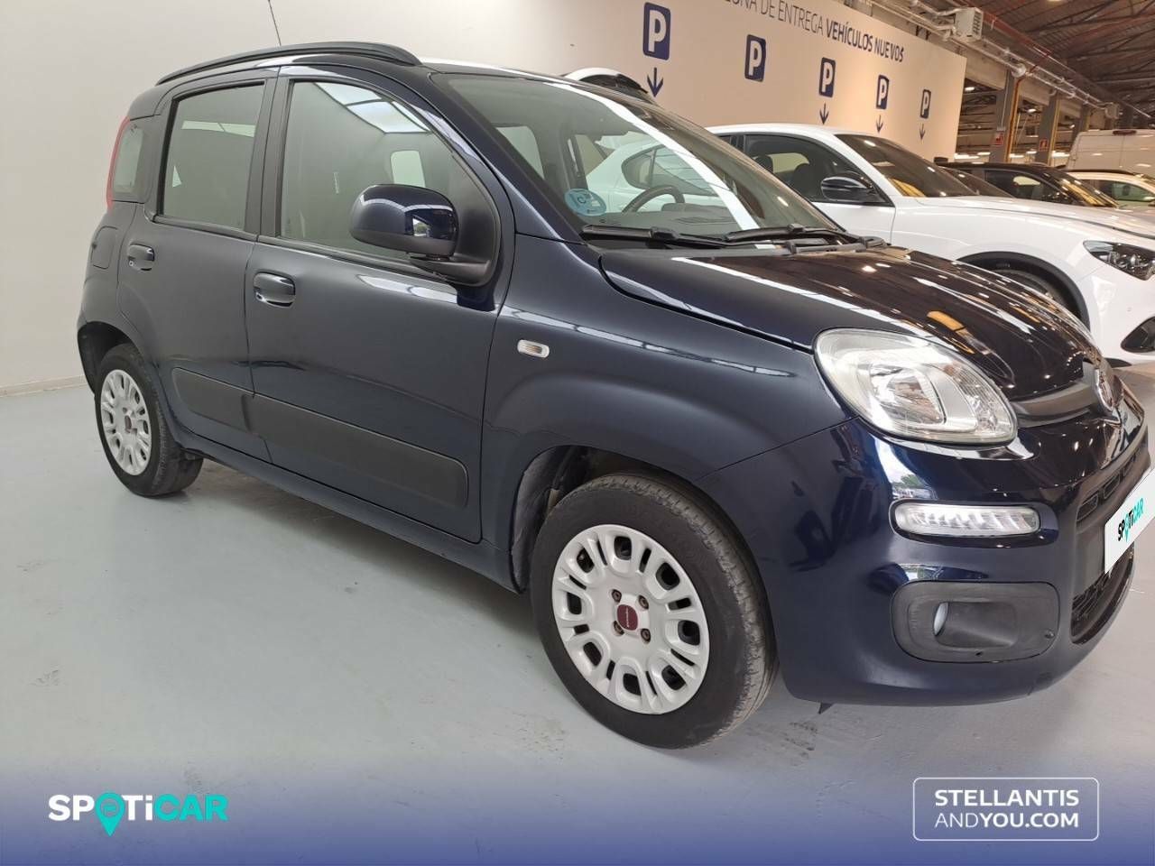 fiat panda 2020 / foto grande (3)