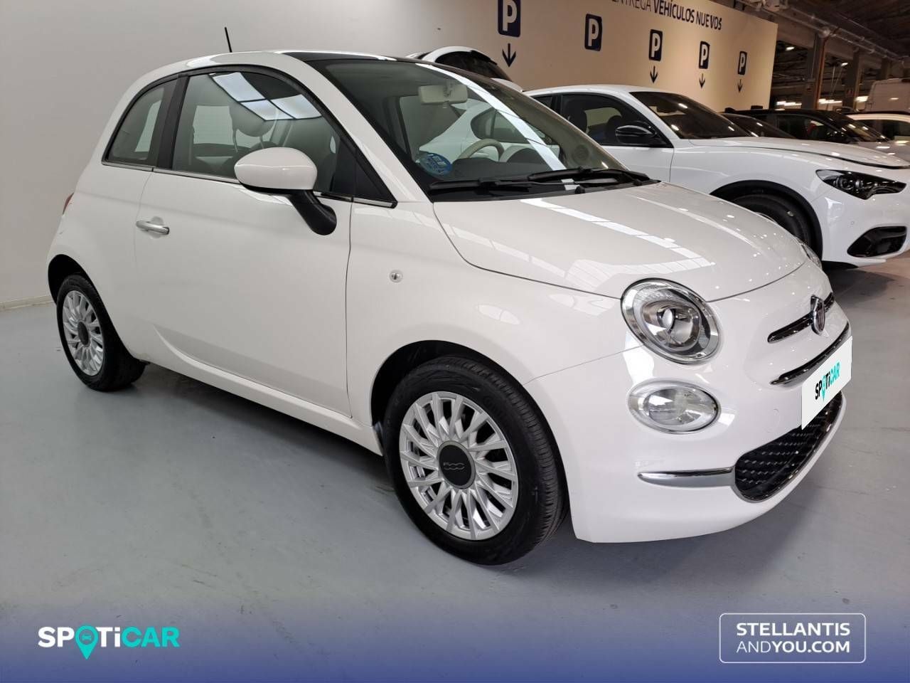 fiat 500 2022 / foto grande (3)