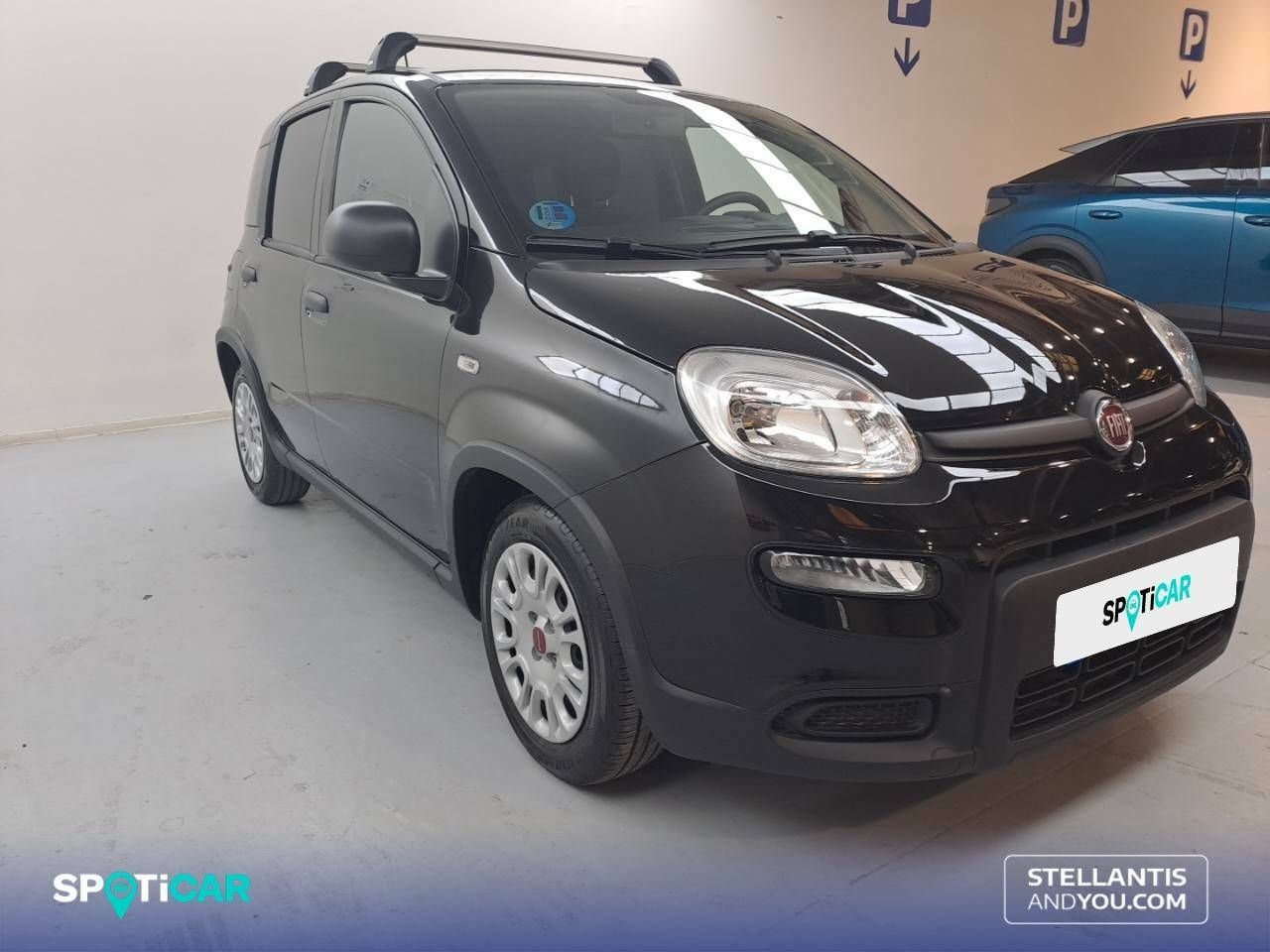 fiat panda 2023 / foto grande (3)