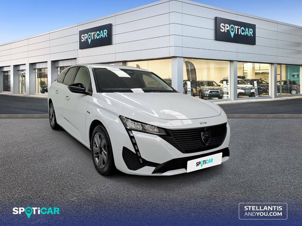 peugeot 308 2024 / foto grande (3)