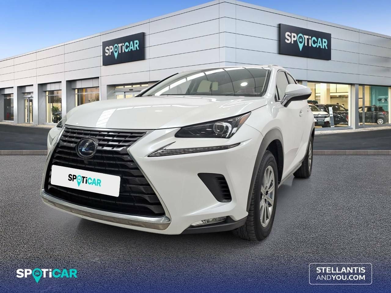 Tarot especialista  - lexus nx 2019 /