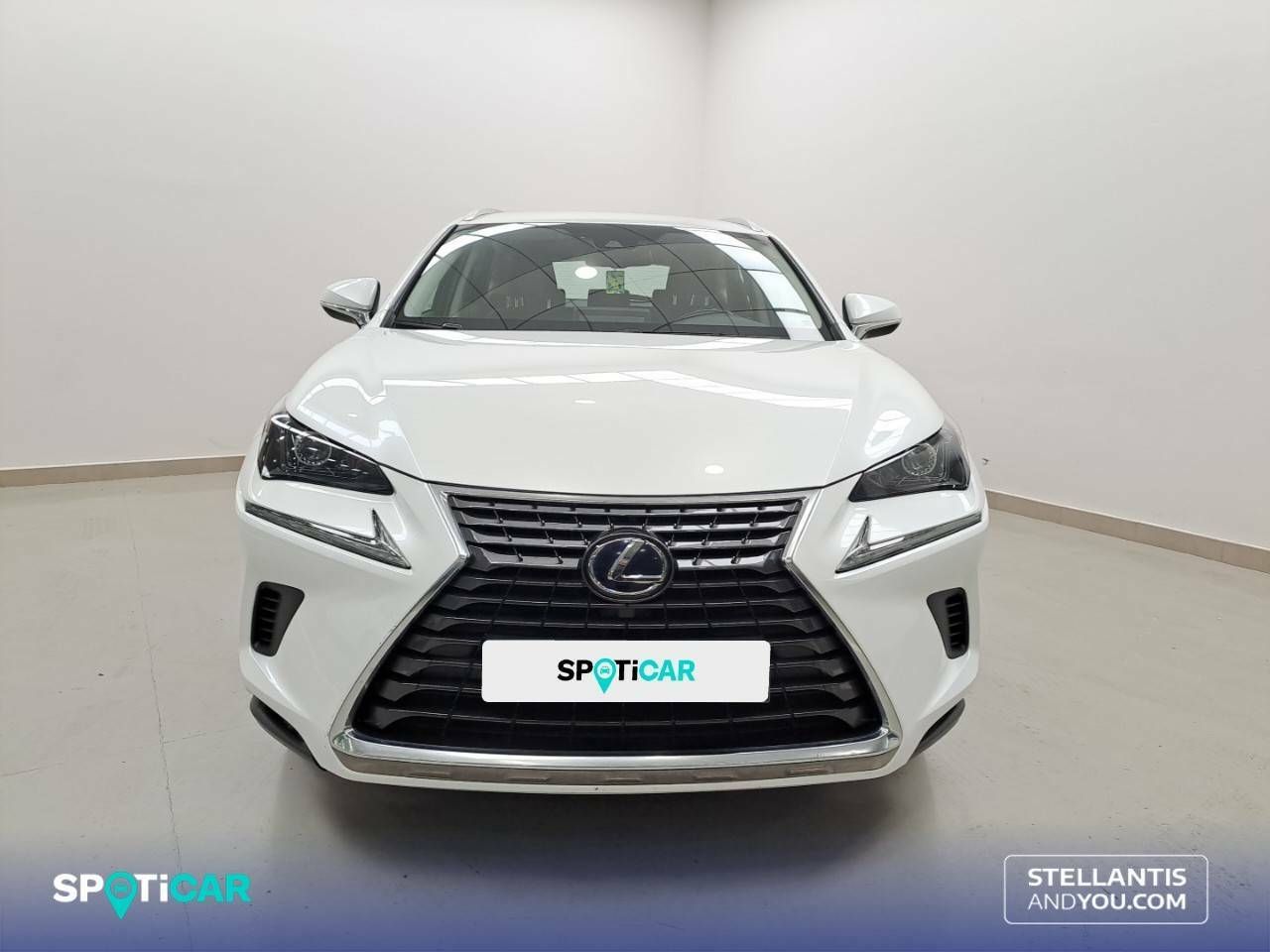 lexus nx 2019 / foto grande (2)